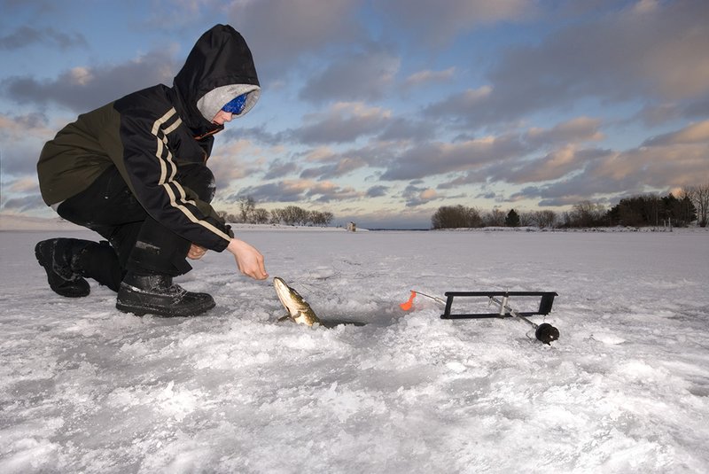 Experience the Thrill of Ice Fishing in the UK's Live Casino Scene